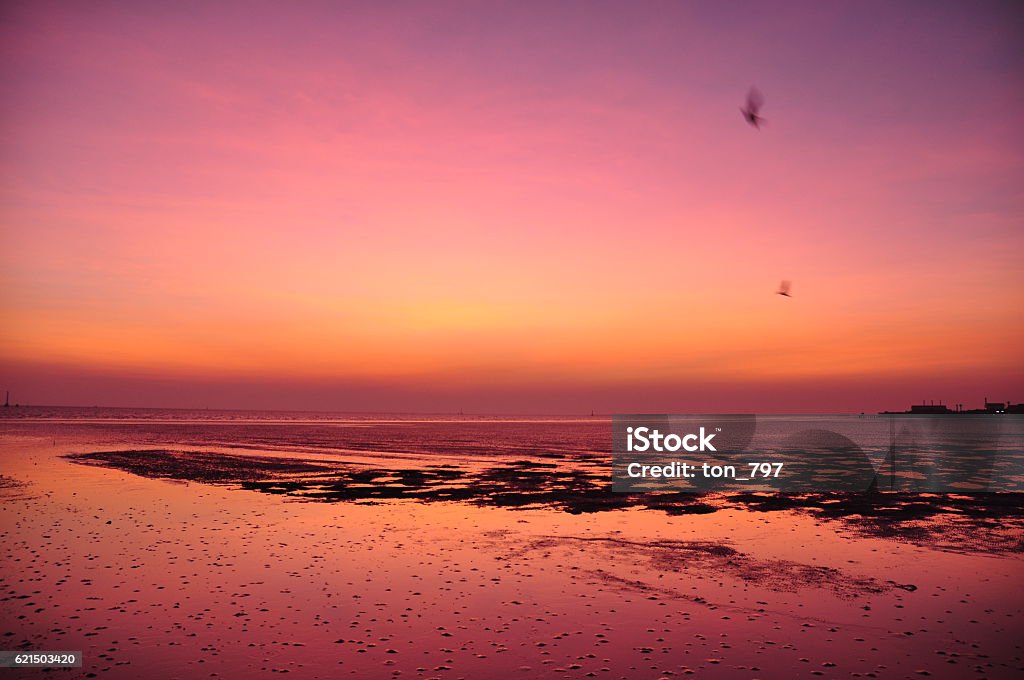 crépuscule dans la mer - Photo de Aube libre de droits