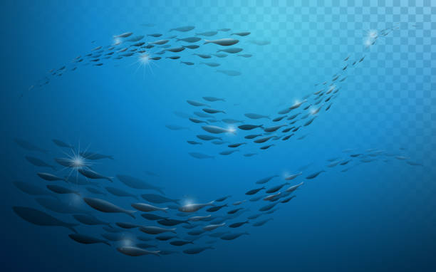 school of fish - fischschwarm stock-grafiken, -clipart, -cartoons und -symbole