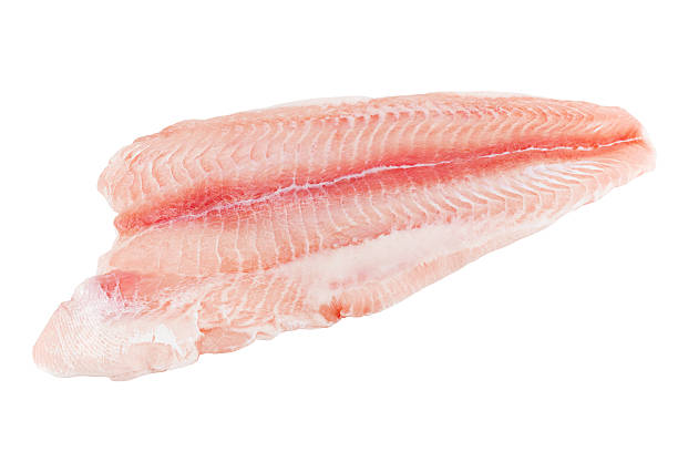 istock Closeup catfish slice on wwhite 621506476