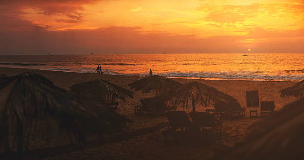 istock Panorama, Sunset on the beach, lounge chairs, India, Goa 621507992