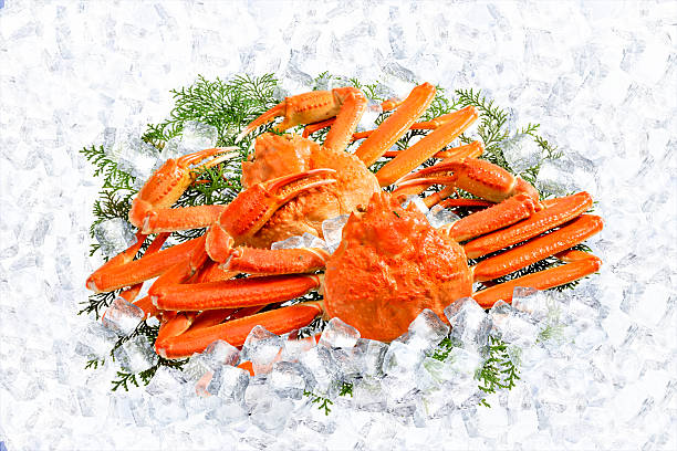 zuwaigani crab snow crab photos stock pictures, royalty-free photos & images