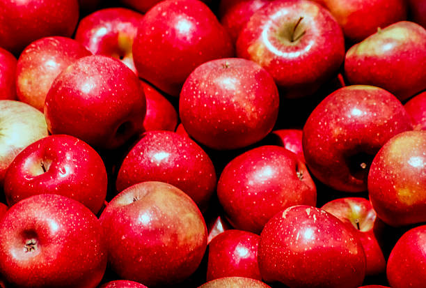 istock pile of gala apples 621575090