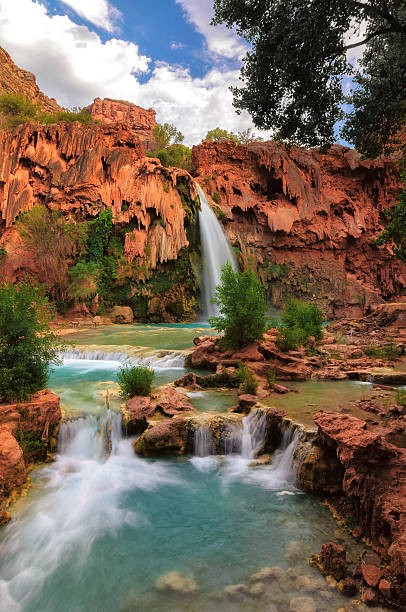 Havasu Falls, Grand Canyon, Arizona Havasu Falls plunges into a deep blue-green pool, with Cataract Canyon behind lit by the morning sun, on Havasupai Indian Reservation in the Grand Canyon. havasupai indian reservation stock pictures, royalty-free photos & images