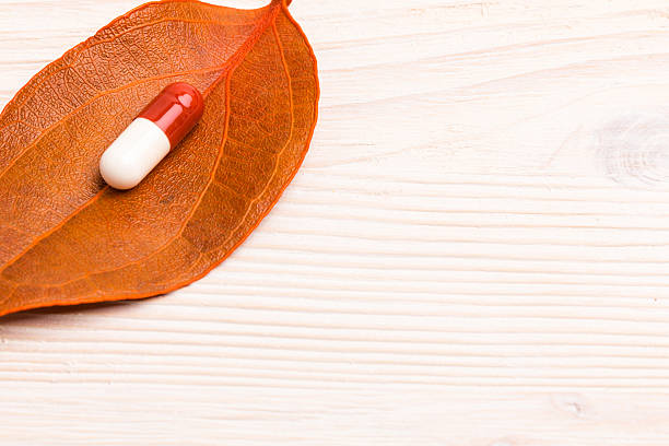 Brown white medical pill on single orange leaf stock photo