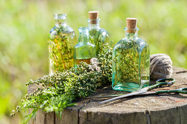 tomillo, estragon y romero aceite esencial o infusión - herb seasoning spice old fashioned fotografías e imágenes de stock