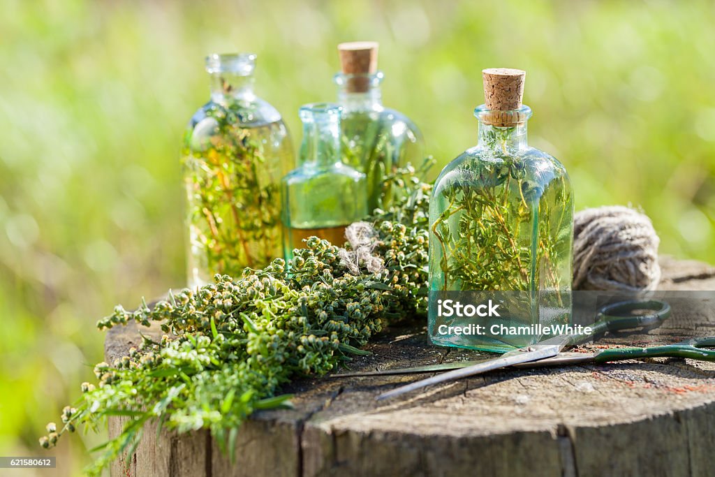 Thyme, estragon and rosemary essential oil or infusion Bottles of thyme, estragon and rosemary essential oil or infusion outdoors, herbal medicine. Herb Stock Photo