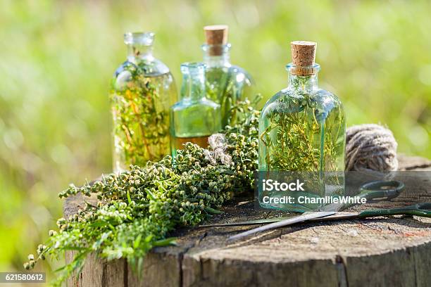 Thyme Estragon And Rosemary Essential Oil Or Infusion Stock Photo - Download Image Now