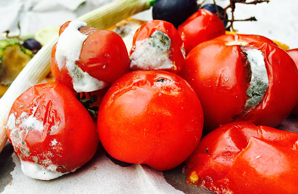 istock Different sorts of rotten fruit and vegetables 621580664