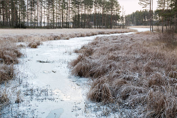 istock Frozen small river with frosty flood meadow surrounding in a 621581536