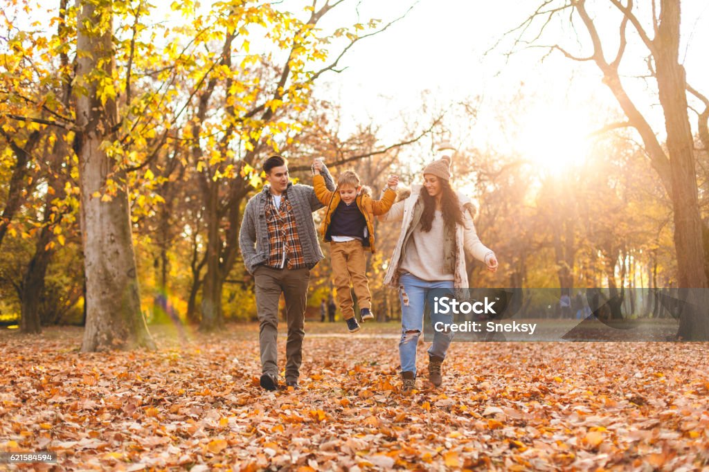 Family playing in autumn leaves Family walking in the park together Family Stock Photo