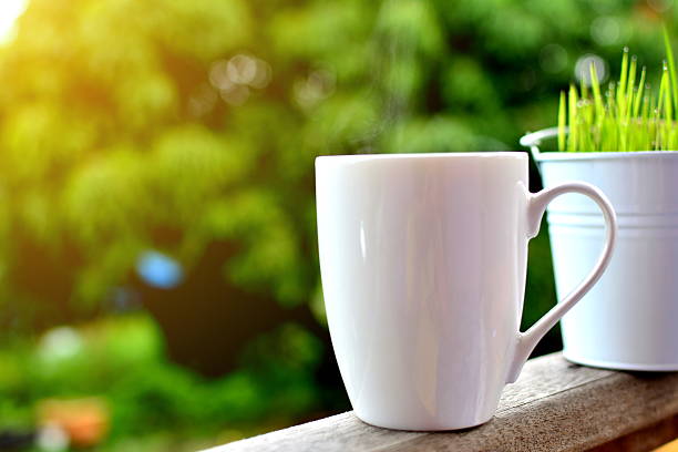 istock cups of coffee or tea on nature background 621589014
