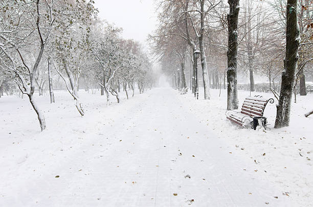 istock Red benches in a park covered with snow during snowfall 621593124