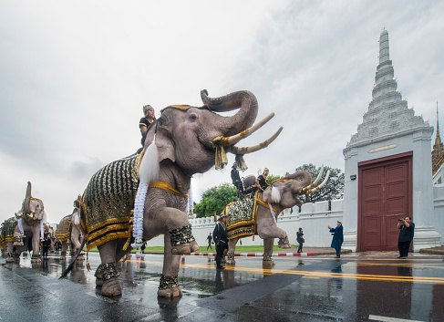 Statue of elephant in Buddhist Temple in Thailand