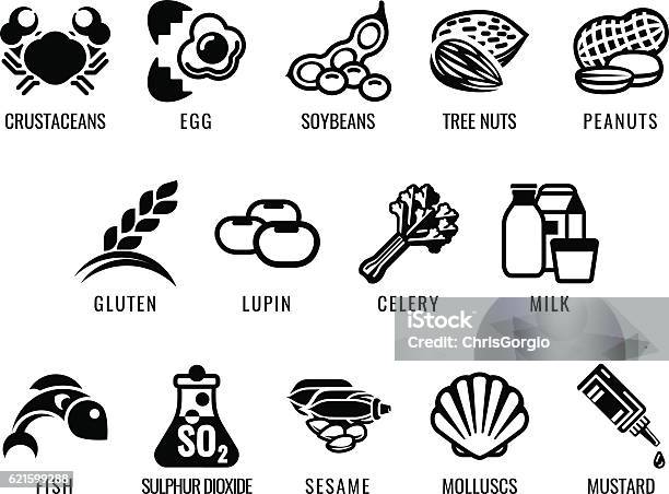 Lebensmittelallergensymbole Stock Vektor Art und mehr Bilder von Icon - Icon, Sojabohne, Nuss