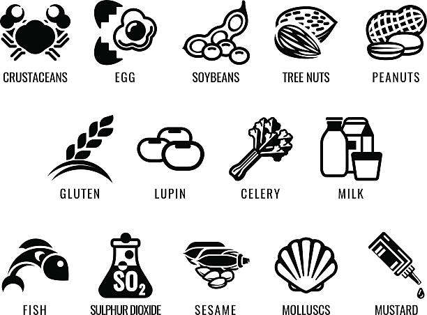 Food Allergen Icons Food allergy icons including the 14 food allergies outlined by the EU Food Information for Consumers Regulation EFSA European Food Safety Authority Annex II which also encompass the big 8 FDA Major Allergens allergy icon stock illustrations