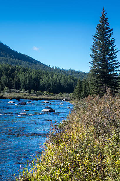 istock River in the Altai mountains, Russia 621600666