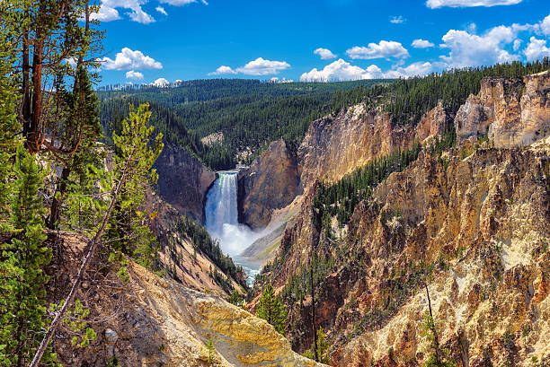 inferior falls, grand canyon de yellowstone - parque nacional de yellowstone fotografías e imágenes de stock