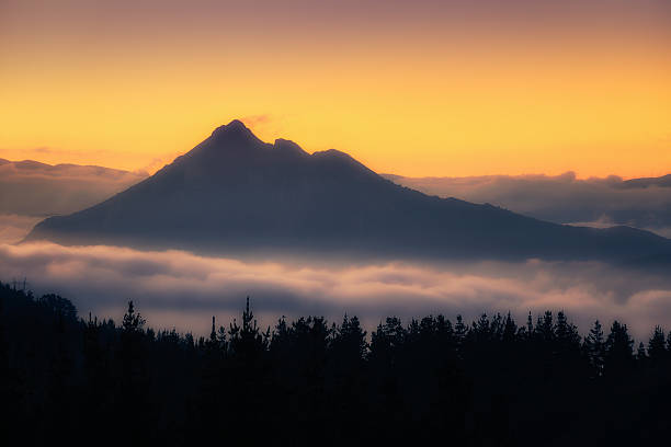 istock Morning fog in the valley with Udalaitz mountain 621601514