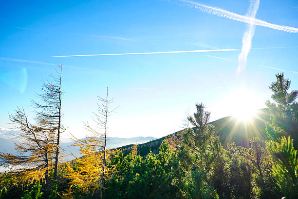 Autumn Sun set  over sunny mountain full of Larch Trees and with a cross on sky incurred due to emissions of air gases on clear sky in Kamnik-Savinja Alps, Slovenia. Good for background with a lot of Copy space.