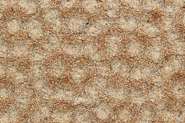 istock Crispbread detailed background close up / macro 621605784