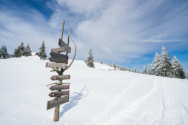 istock Directional Sign In The Winter 621607842