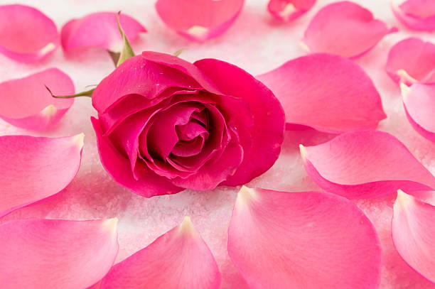 istock Pink rose on rose petals and bath salt 621608540