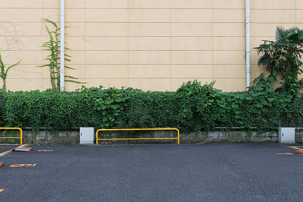 istock Large blank billboard on a street wall 621609934