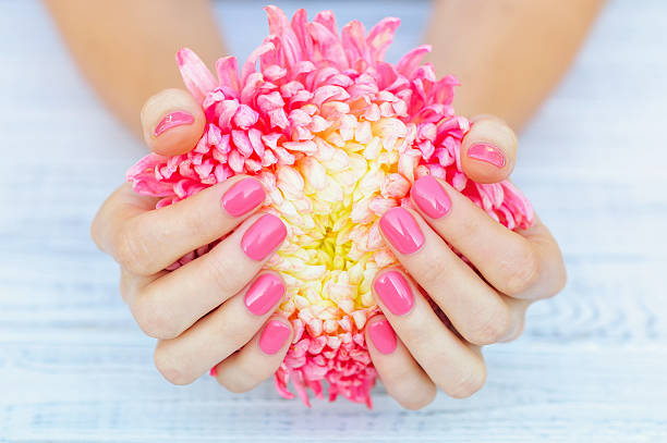 istock Pink manicure and daisy flower 621610562