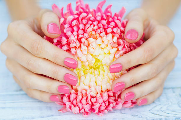 istock Pink manicure and daisy flower 621610602