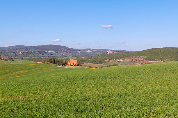 istock Typical Tuscany landscape, green hills springtime 621610976