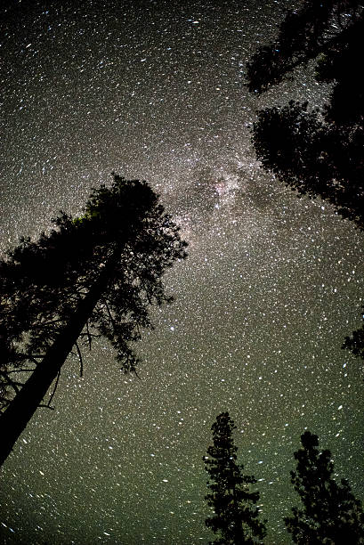 istock Up in the stars 621611192