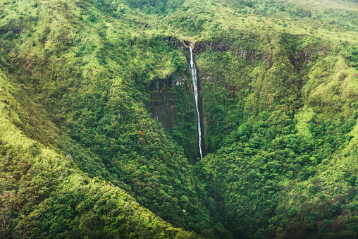 This is a horizontal, royalty free stock photograph of the narrow cascading Honokohau waterfall on the edge of a rainforest covered volcanic mountainside on Maui, Hawaii. This is one of the tallest waterfalls in the USA. Photographed from an aerial view with a Nikon D800 DSLR camera.