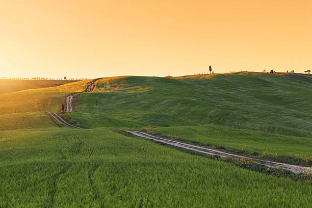 istock Typical Tuscany landscape, green hills springtime at sunset 621612034
