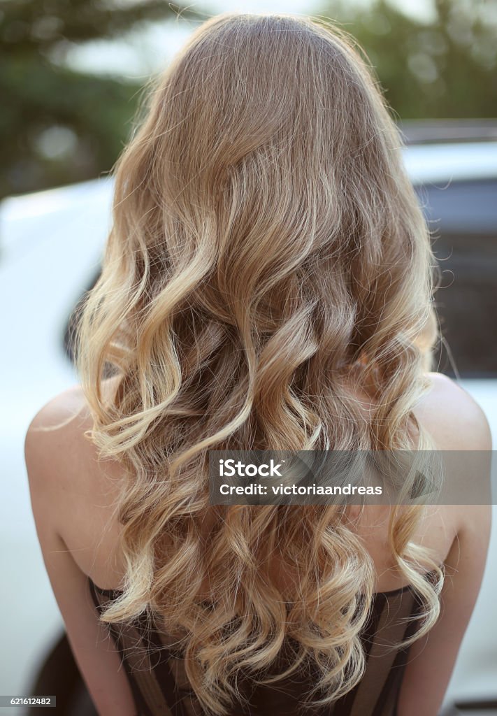 Healthy Hair Curly Long Hairstyle Back View Of Blond Hairs Stock Photo -  Download Image Now - iStock
