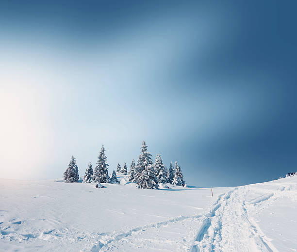 istock Winter Landscape Morning 621614474