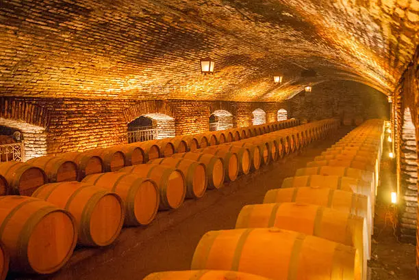 Rows of barrels in a wine house cellar