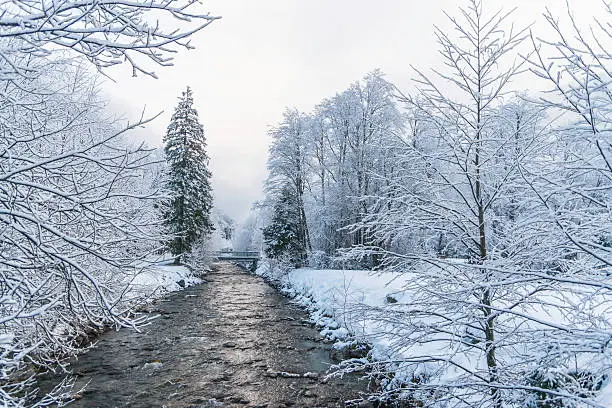 Winter landscape near small river, white forest with snow