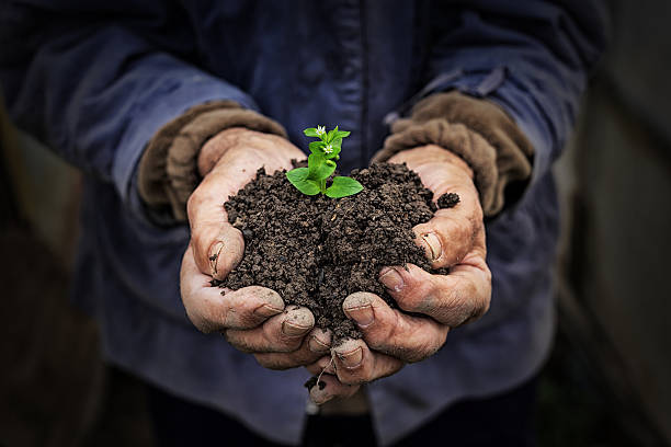 istock Hands holding new growth plant-dark background 621615390