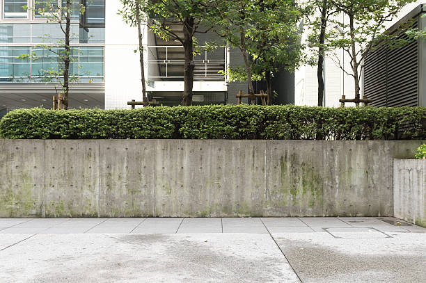 istock Large blank billboard on a street wall 621615846