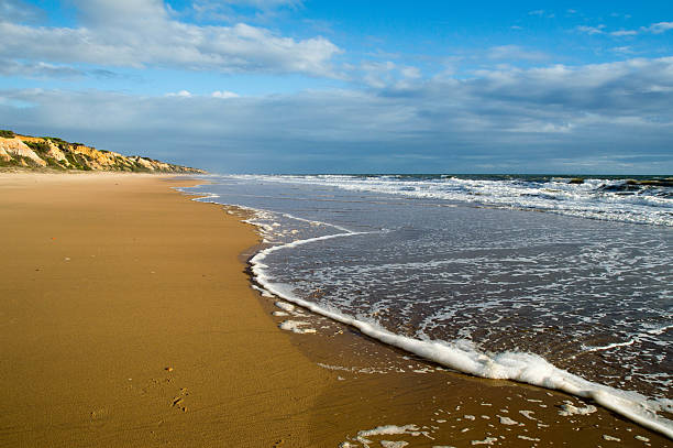 istock Beautiful and relaxed beach 621687374