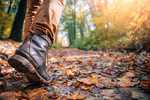 Hikers muddy boots on forest trail