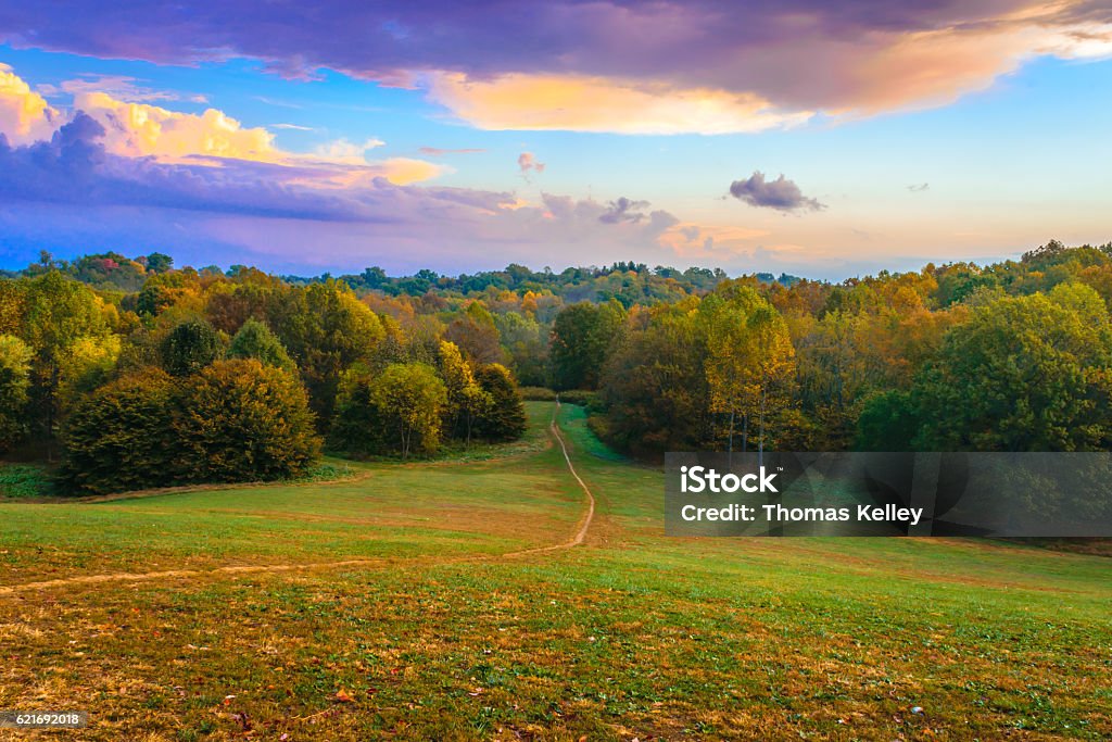 Chemin dans la forêt. - Photo de Louisville - Kentucky libre de droits