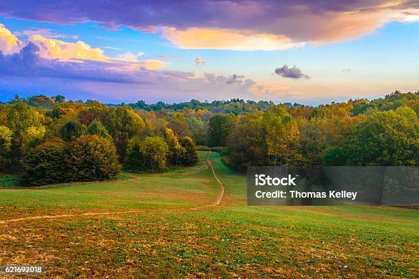 Photo libre de droit de Chemin Dans La Forêt banque d'images et plus d'images libres de droit de Louisville - Kentucky - Louisville - Kentucky, Paysage, Kentucky