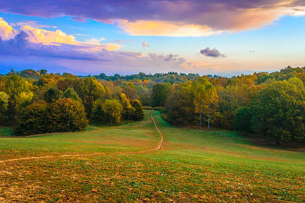 Path into the Forest Trail through Dog Hill at Cherokee Park in Louisville KY. Cherokee Park is a Frederick Law Olmsted designed park. september photos stock pictures, royalty-free photos & images