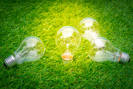 Eco concept - light bulbs on grass