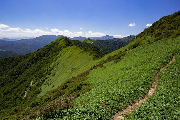 istock Look at the Higashikuromori direction from Iyofuji 621693356