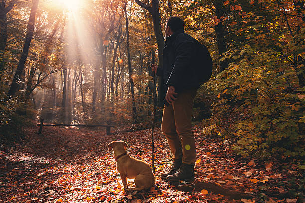 istock Man and dog in the forest 621693420