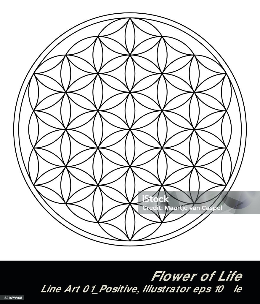 buddhism chakra illustration: Flower of Life colouring page Flower of Life - intersecting circles forming the Flower of life, with the seed of life in the midle, buddhism chakra illustration colouring page Mandala stock vector