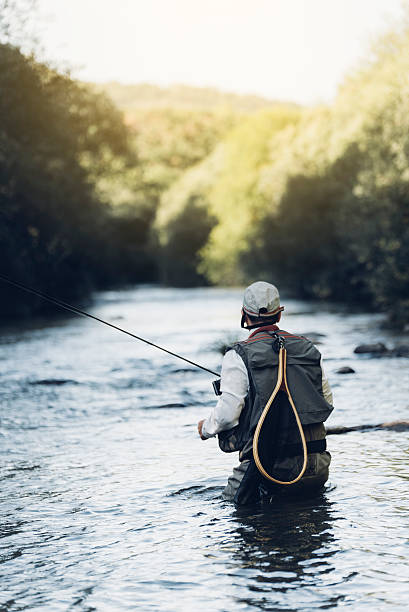 pescador con mosca utilizando caña de pesca con mosca. - fly fishing fishing river fisherman fotografías e imágenes de stock