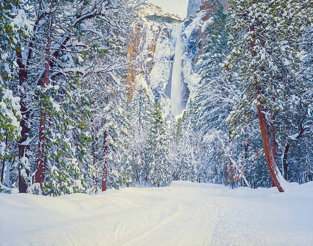 ヨセミテ国立公園の冬の雪 - yosemite national park winter waterfall california ストックフォトと画像